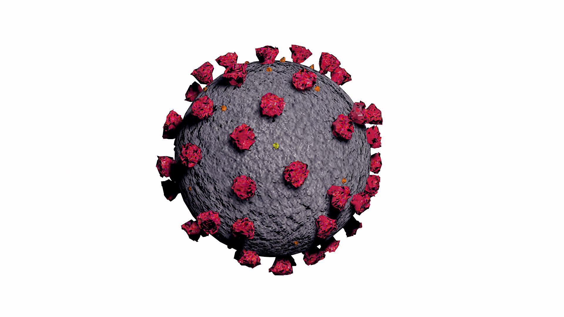 3D Covid19 Virus Science Model - TurboSquid 1700667