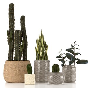 3D set plants