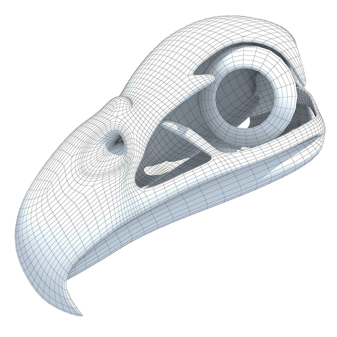 3d model bald eagle skull skeleton https://p.turbosquid.com/ts-thumb/Wz/3p1AnV/yLvLancM/w0000/jpg/1462199784/1920x1080/fit_q87/0a5e93c074a5bd8589f8139c8d9fb3b8b5fe3a09/w0000.jpg