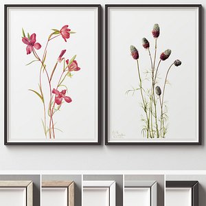 Picture Frames Set-401