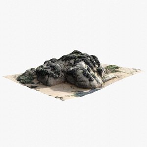 Rock 3D Scan 19 3D