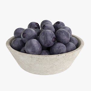 3D model Blueberry small stone bowl