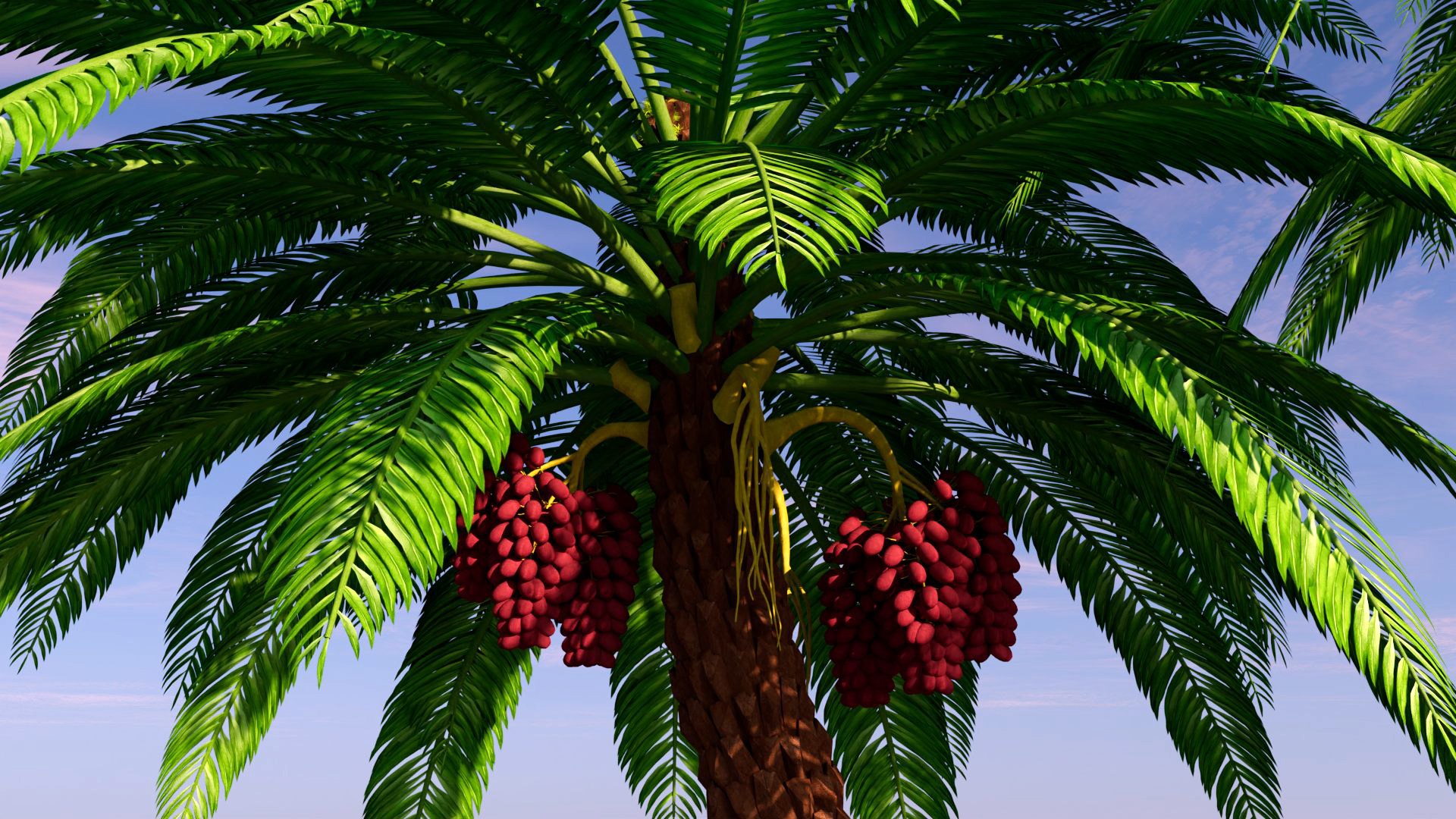 3D Palm https://p.turbosquid.com/ts-thumb/Wz/DyXEa5/VC/palm_06/jpg/1761608420/1920x1080/fit_q87/f300415eeaf63fd18348993eb6fe41d979f7d867/palm_06.jpg