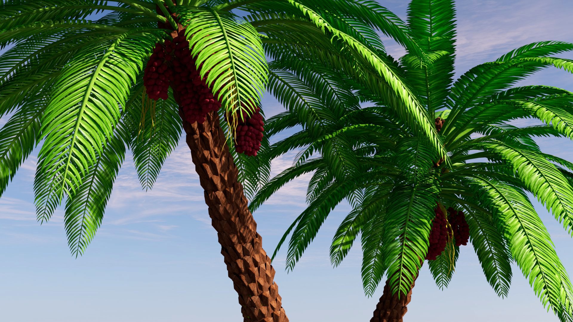 3D Palm https://p.turbosquid.com/ts-thumb/Wz/DyXEa5/gE/palm_07/jpg/1761608421/1920x1080/fit_q87/5b9feaf3f5bd4cac083b2a2b47e67e9e9479a76e/palm_07.jpg