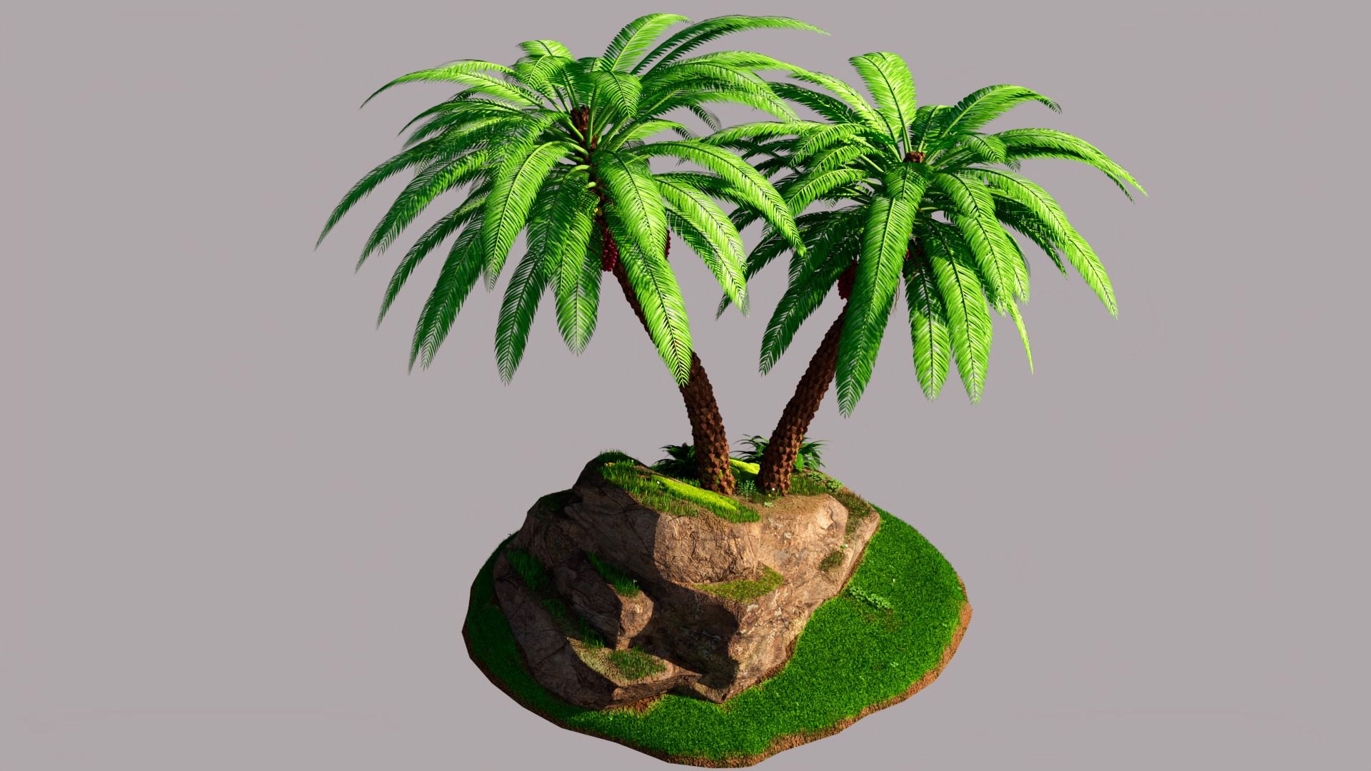 3D Palm https://p.turbosquid.com/ts-thumb/Wz/DyXEa5/ms/palm_08/jpg/1761608421/1920x1080/fit_q87/cf74dfb78fde288b9ed5cc2b7294350f9cafda72/palm_08.jpg