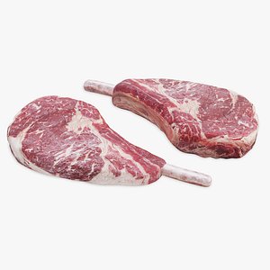raw steaks bone 3D model