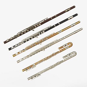 Concert Flute and  Curved Concert Flute Collection 3D model