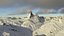 Matterhorn iconic mountain area realistic terrain landscape