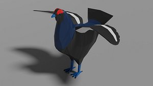 3D animal bird nature