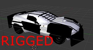 Rally Car Fully Rigged!