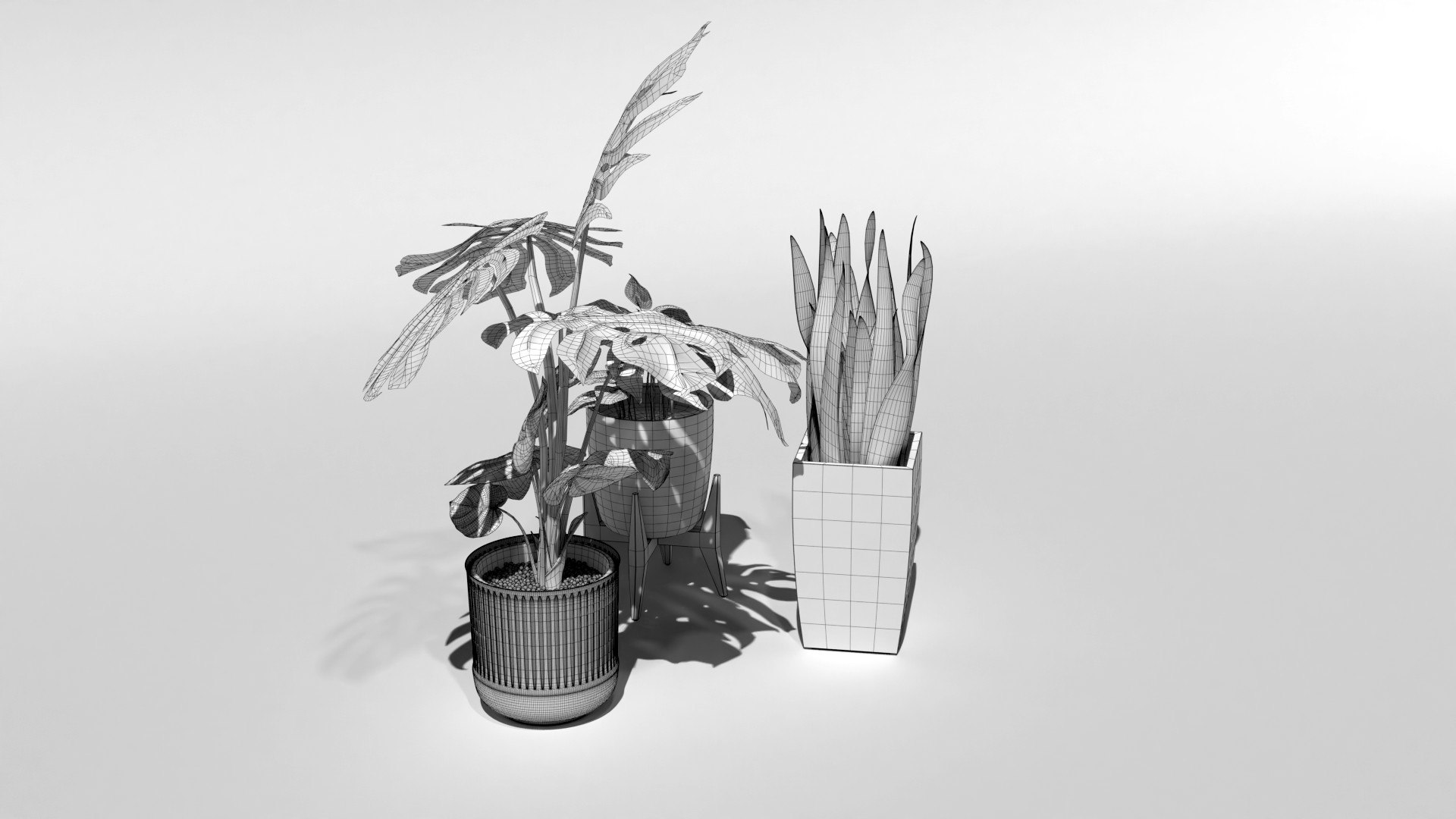 3D Plants Trio model https://p.turbosquid.com/ts-thumb/Wz/lirmxq/Kf/plants_wireframe_0097/jpg/1635268064/1920x1080/fit_q87/964f6db2d4f9efab4d1b692bb435f11abef4211f/plants_wireframe_0097.jpg