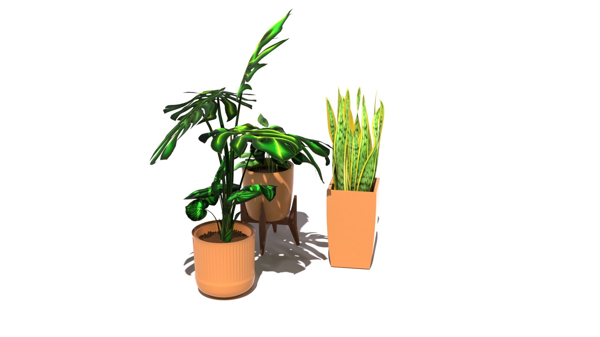 3D Plants Trio model https://p.turbosquid.com/ts-thumb/Wz/lirmxq/Oj/0097/jpg/1635268557/1920x1080/fit_q87/81c2a2380cccdc246fdcb8edd22cd1ad450e772a/0097.jpg
