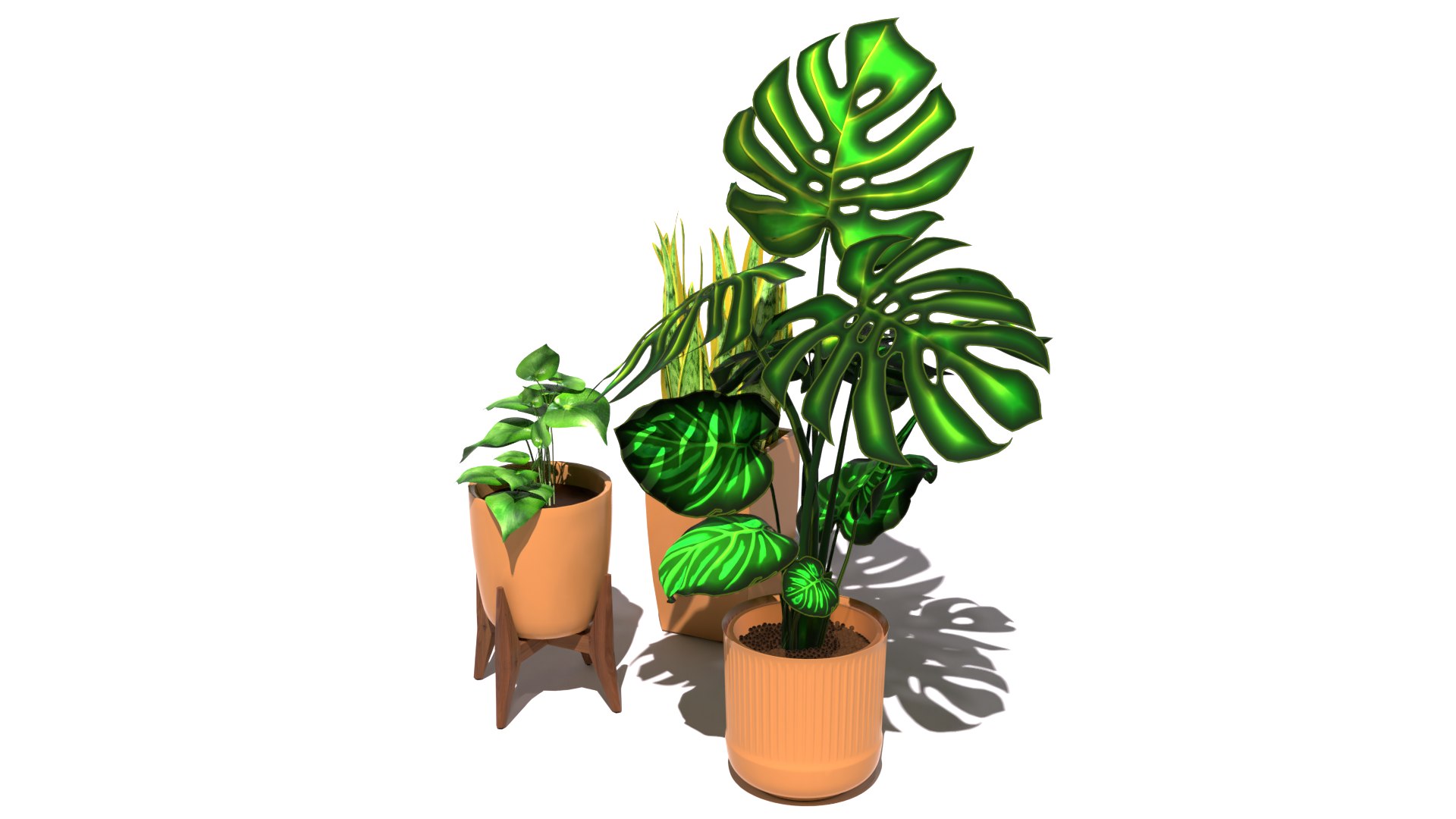 3D Plants Trio model https://p.turbosquid.com/ts-thumb/Wz/lirmxq/Vs/0025/png/1635268133/1920x1080/fit_q87/7ee02a1b03f45552d5f48a624f24d4c794f965a8/0025.jpg