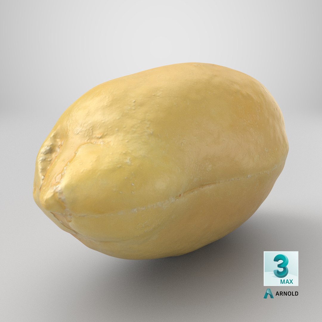 Peeled Peanut 3D https://p.turbosquid.com/ts-thumb/Wz/o9DB2y/WQ/stemcell_max_arnold_render/png/1757438432/1920x1080/fit_q87/b901023a3eef241b74c73ab6111da868ef145e5f/stemcell_max_arnold_render.jpg