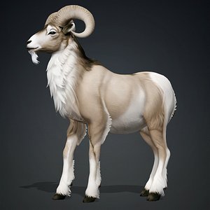 3D model Goat-B3