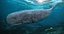 Physeter macrocephalus cachalot
