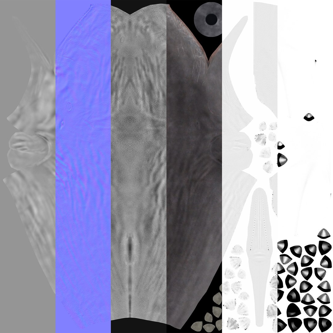 sperm whale physeter 3D https://p.turbosquid.com/ts-thumb/Wz/xVeClJ/8vCuSqM3/7/jpg/1582802985/1920x1080/fit_q87/595b7bbafcffdabb1ac24285c8c931f957ed946c/7.jpg