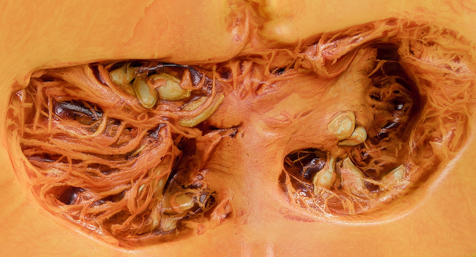 realistic pumpkin candle 3D model https://p.turbosquid.com/ts-thumb/X0/02nFPX/40K0TyAT/_view09/jpg/1581961939/1920x1080/fit_q87/0318acddfdd1e9d8f2a3cbfb3f025d77ab186c83/_view09.jpg