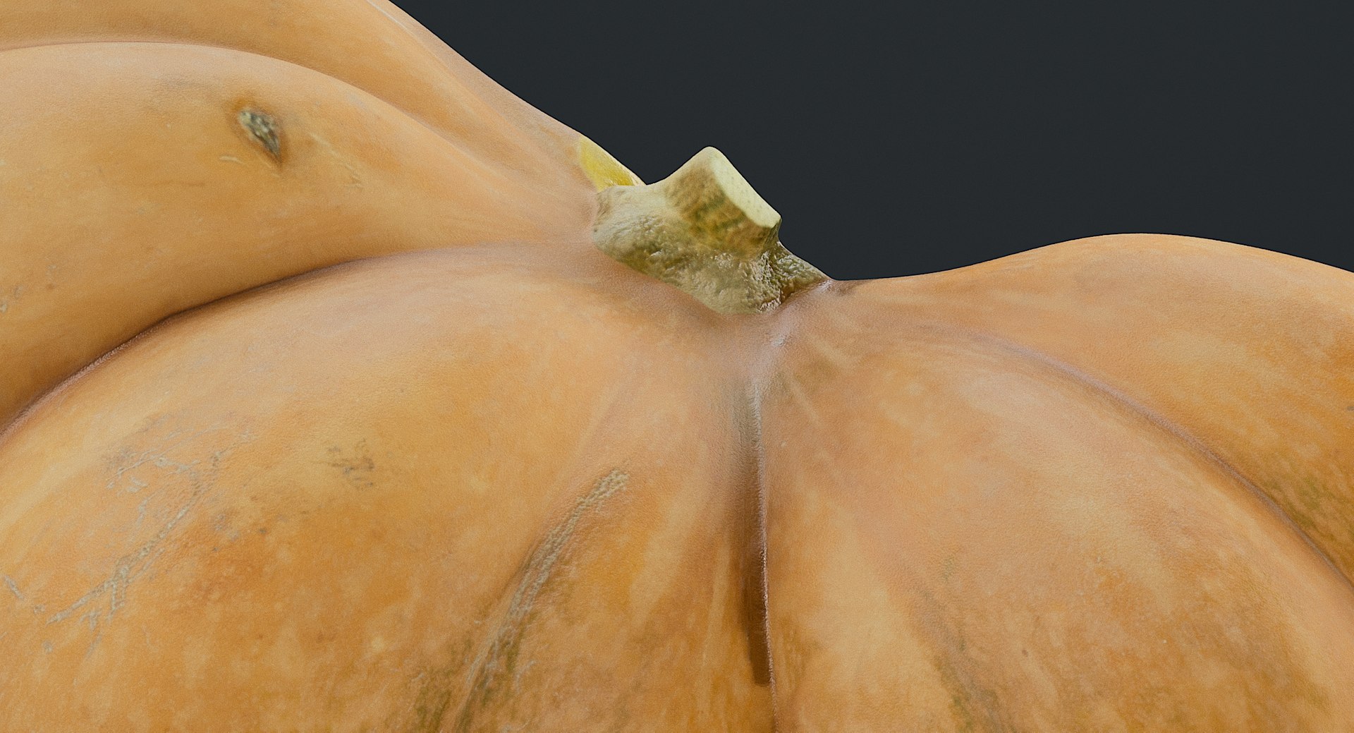 realistic pumpkin candle 3D model https://p.turbosquid.com/ts-thumb/X0/02nFPX/C1kKWcY3/_view08/jpg/1581961969/1920x1080/fit_q87/aad57a4be147e37af00151013742de5edb03565f/_view08.jpg