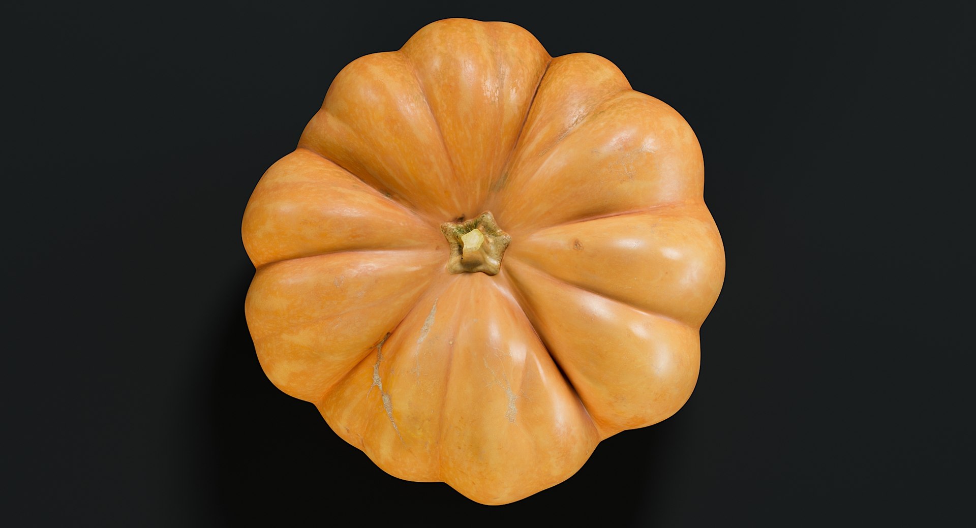 realistic pumpkin candle 3D model https://p.turbosquid.com/ts-thumb/X0/02nFPX/IdgyTIxY/_view05/jpg/1581961878/1920x1080/fit_q87/1880408a2c0ad11ede64ee625be48025cabb6880/_view05.jpg