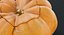 Collection de citrouilles