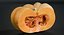 Collection de citrouilles
