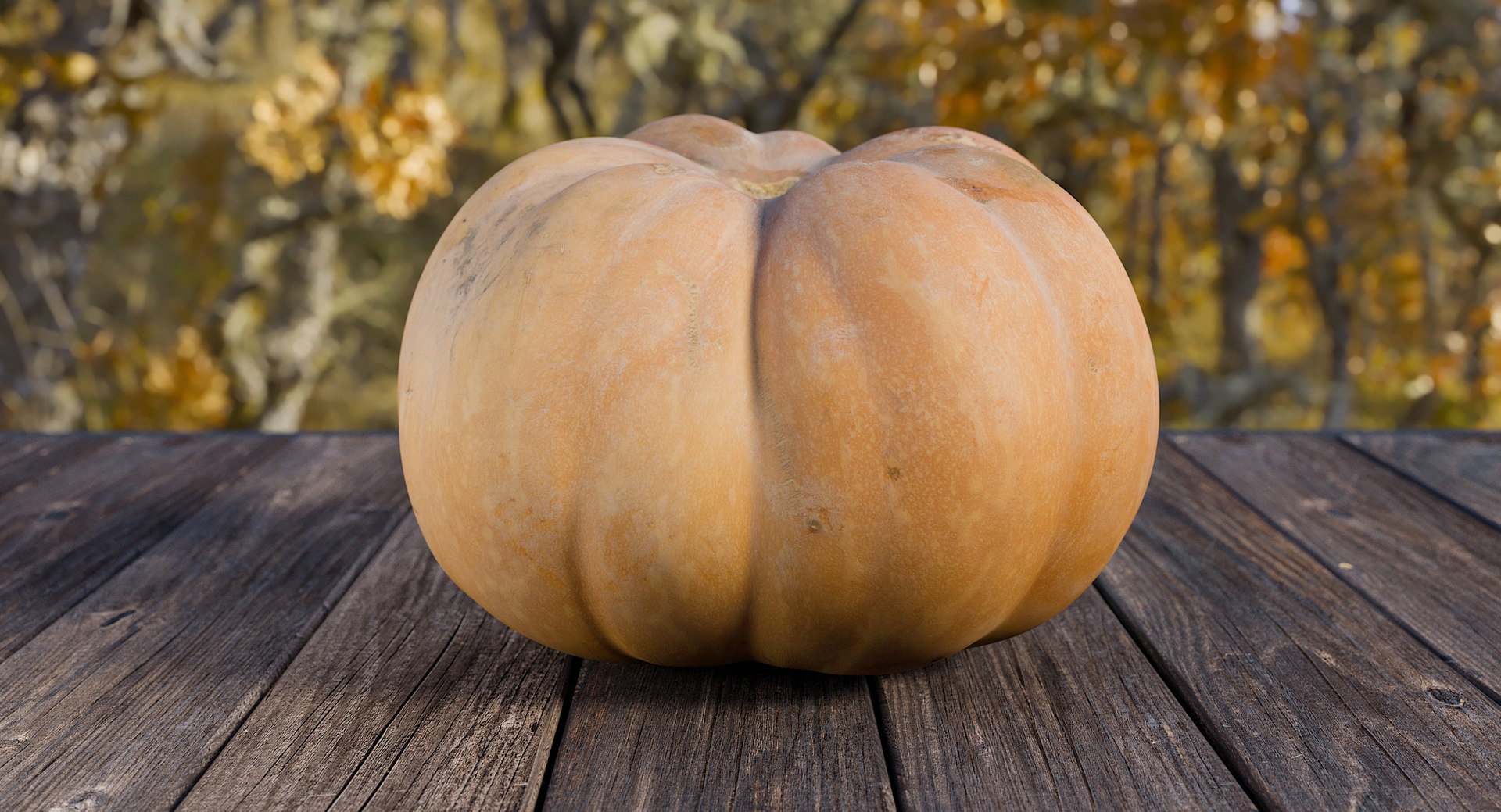realistic pumpkin candle 3D model https://p.turbosquid.com/ts-thumb/X0/02nFPX/WxyVzxI1/realistic/jpg/1581961668/1920x1080/fit_q87/f20f7b5c6ca60b54596fecffb9e5b169fd7474e1/realistic.jpg