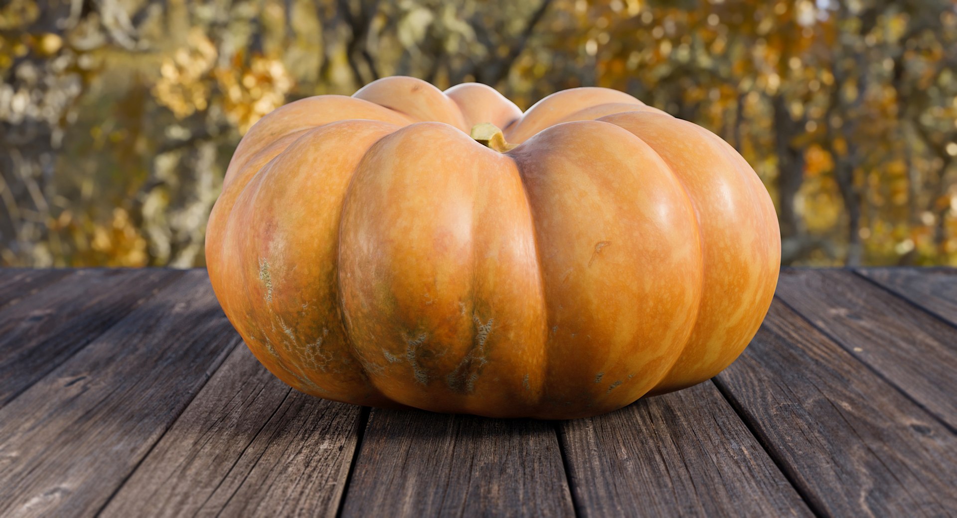 realistic pumpkin candle 3D model https://p.turbosquid.com/ts-thumb/X0/02nFPX/ZrB0kR9x/realistic/jpg/1581961576/1920x1080/fit_q87/fdcc83bd19576d3e6aefb623686e1be3429312a7/realistic.jpg
