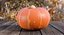 Collection de citrouilles