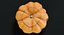Collection de citrouilles