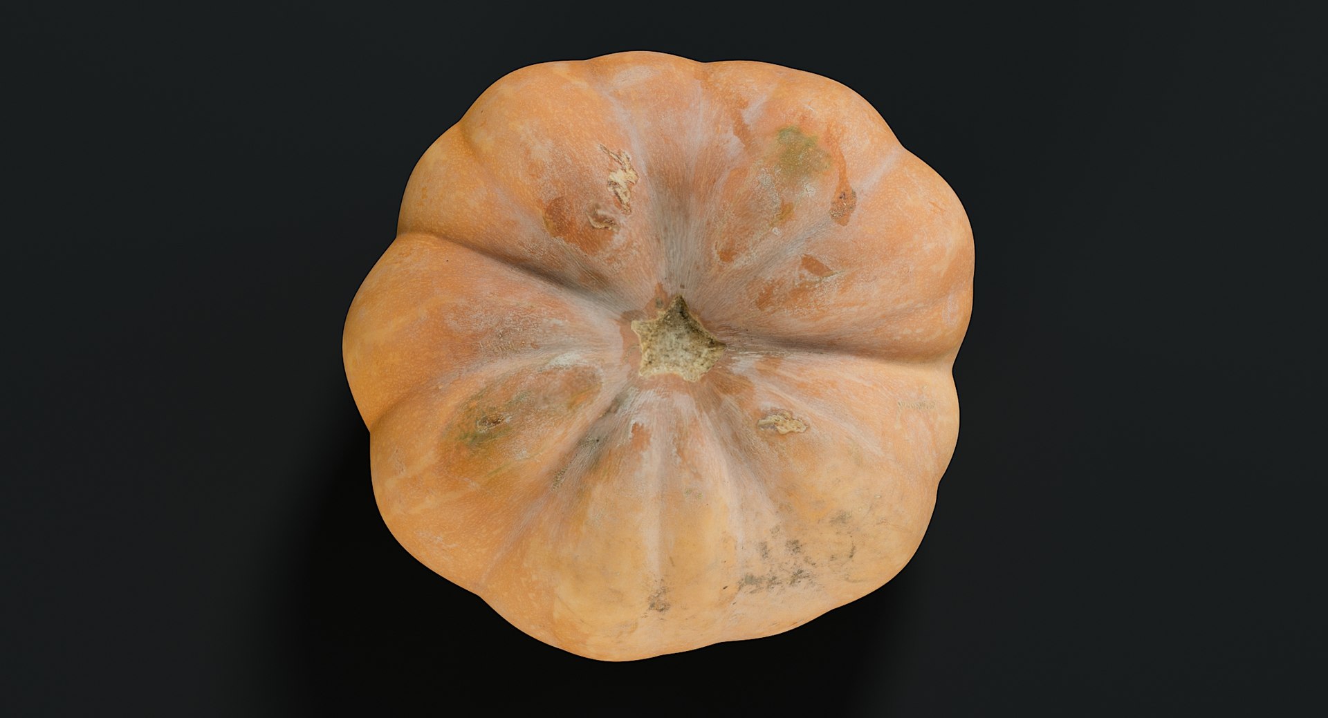 realistic pumpkin candle 3D model https://p.turbosquid.com/ts-thumb/X0/02nFPX/uO9gg8Uw/_view05/jpg/1581961932/1920x1080/fit_q87/f14e227e1ab956318e5f7db28dd6dfd08f4b9c32/_view05.jpg