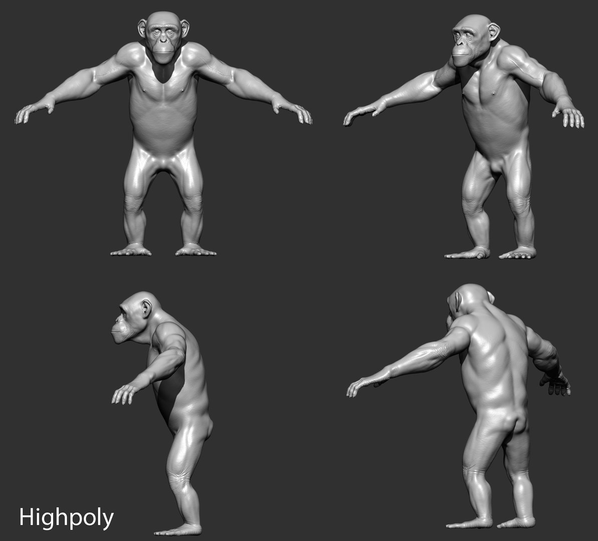chimp - 3d max