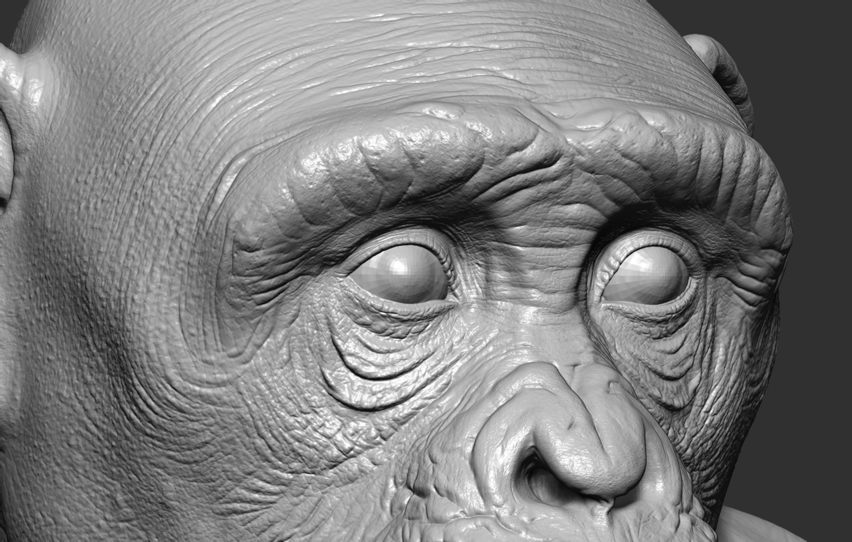 chimp - 3d max