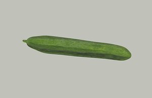 Long Cucumber 3D