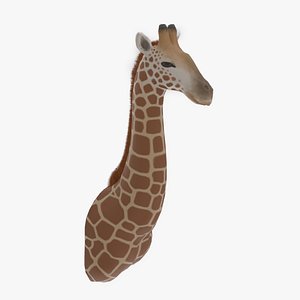 Giraffe Head Trophy Wall Mount - Low Poly PBR