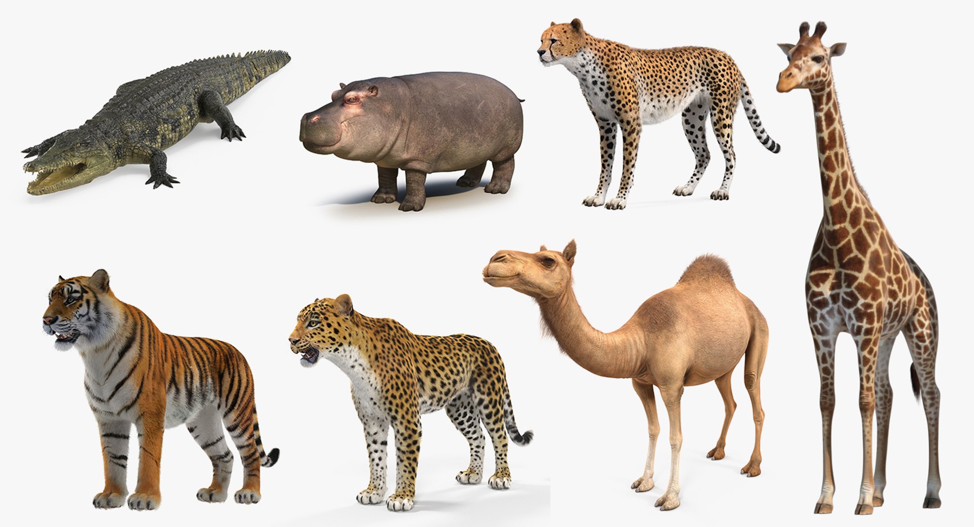 3D african animals 4 https://p.turbosquid.com/ts-thumb/X0/FSx27t/RGUNxbQc/africananimalscollection43dmodel002/jpg/1561063106/1920x1080/fit_q87/f2d074c4c2dcbea7d8395b1c20c383e29534712e/africananimalscollection43dmodel002.jpg