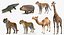 Coleção de animais africanos 4