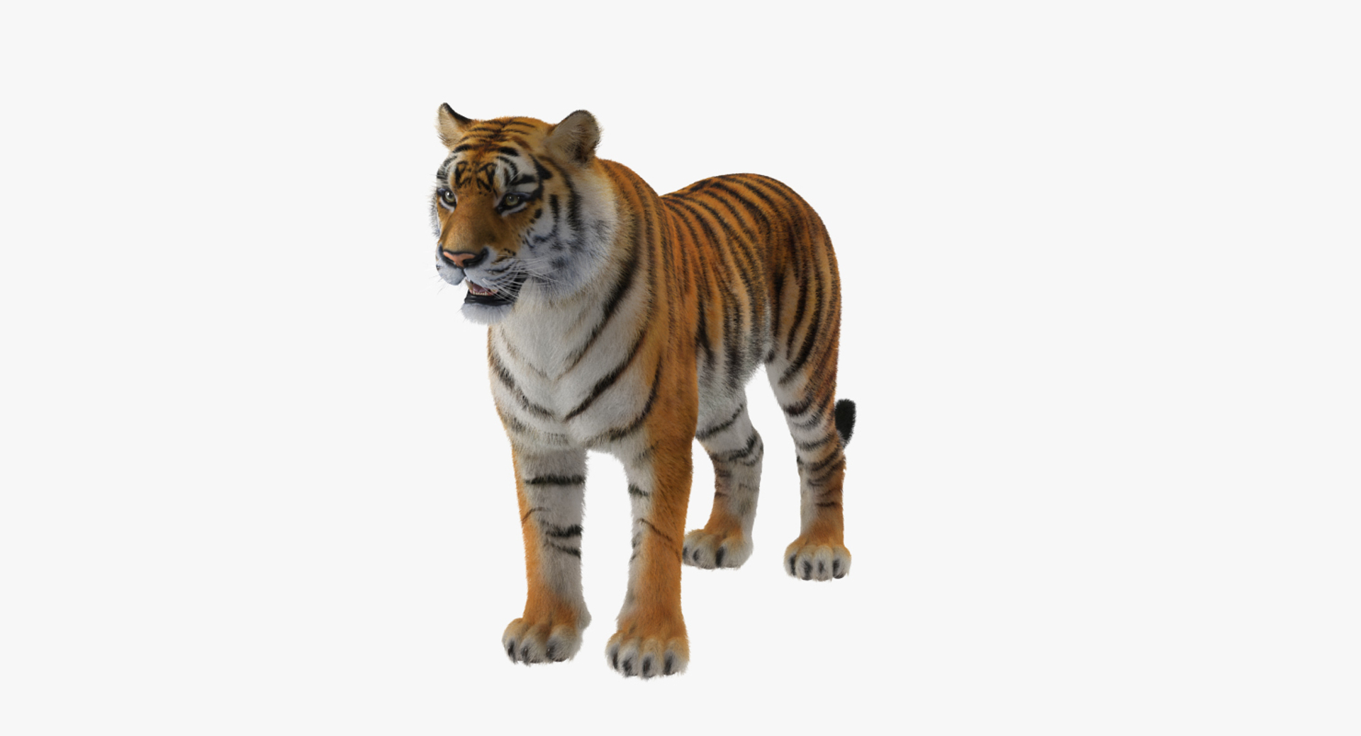 3D african animals 4 https://p.turbosquid.com/ts-thumb/X0/FSx27t/edEZFEDb/african_animals_collection_4_366/jpg/1561062147/1920x1080/turn_fit_q99/d0e57f4c6f939b1fd489c827d58c91ea1766f5c6/african_animals_collection_4_366-1.jpg