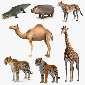 3D african animals 4