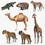 Coleção de animais africanos 4
