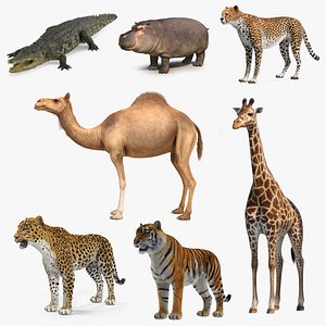 African Animals 3D Models Collection 4