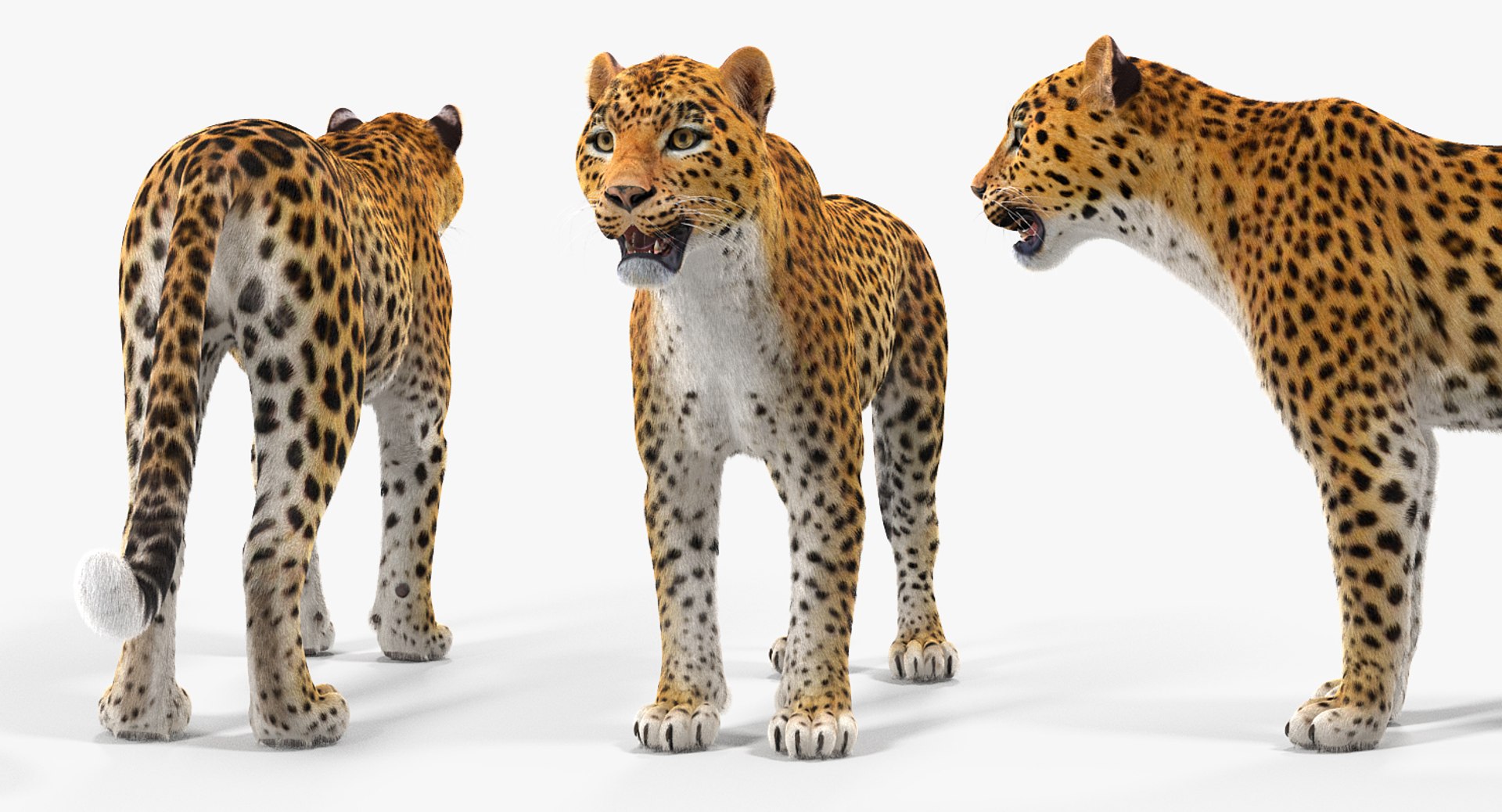 3D african animals 4 https://p.turbosquid.com/ts-thumb/X0/FSx27t/upsjPS3P/africananimalscollection43dmodel022/jpg/1561063106/1920x1080/fit_q87/d9bd87705a9bebf4d9983345d7ec5fb9865f8586/africananimalscollection43dmodel022.jpg