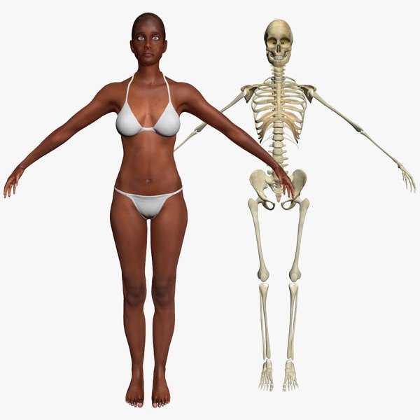 max african american female skeleton