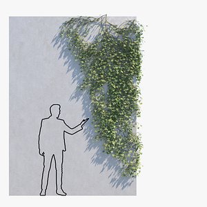 Ivy - Variation E - Corner