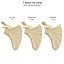 Scapula Bone