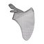 Scapula Bone