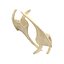 Scapula Bone