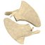 Scapula Bone
