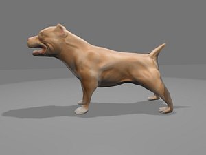 3d pit bull model