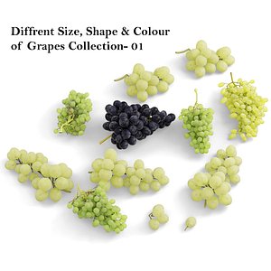 Green and black Grapes collection